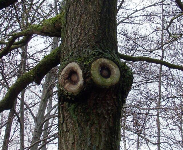 Hallooo Neues Jahr, mach ja keinen Sch… ---  ich werde dich  im Auge behalten! ;)