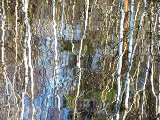 Das Birkenwäldchen spiegelt sich im kleinen Moorsee.
