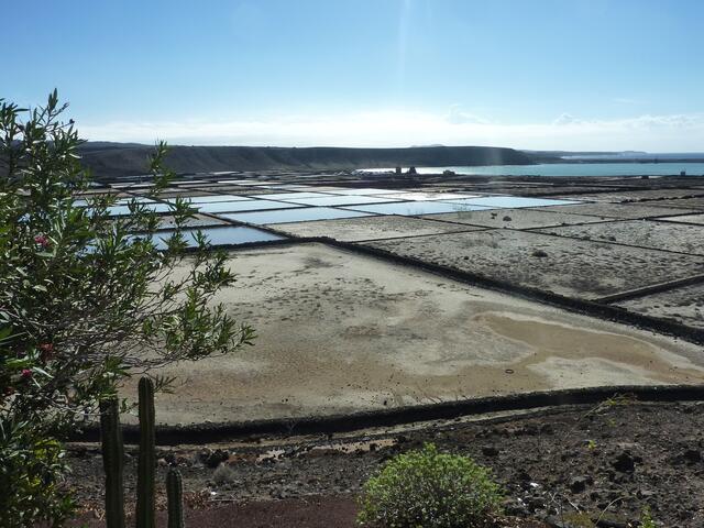 Die Salinas de Janubio
