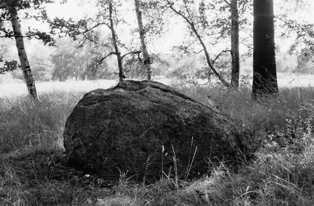 Die Findlinge am Annateich sind Naturdenkmale.