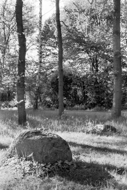 Naturdenkmal: Findlinge aus der Eiszeit am Annateich.
