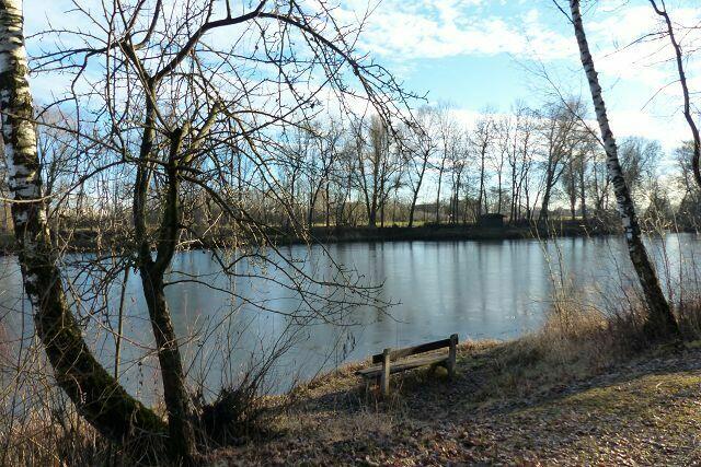 der Weiher ist nur leicht zugefroren