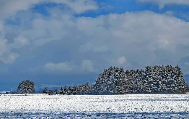 Am Neumagen Richtung Staufen