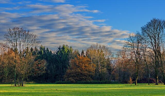 Statt Winter, Frühling im Kurpark, im November 2013