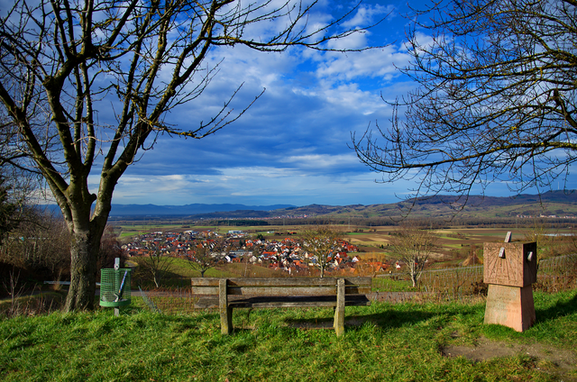 Blick vom Tuniberg am Kaiserstuhl, auf den Kaiserstuhl und die Vogesen, am 6. Januar 2014