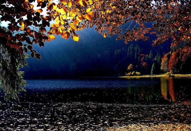 Herbst am Feldsee