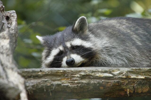Zeit zum relaxen