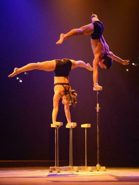 Hand 2 Stand | Foto: Turn- und Sportfördergesellschaft mbH