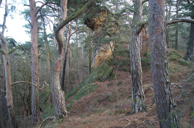 Felsformation an der Teufelsmauer