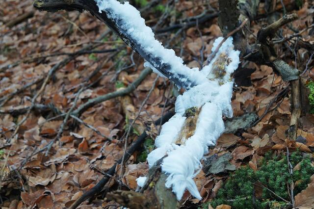Kein Schnee!