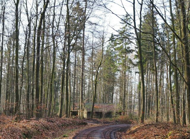 Der Rundweg schließt sich