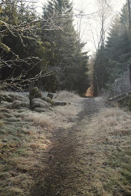 Da geht es hinab nach Densberg