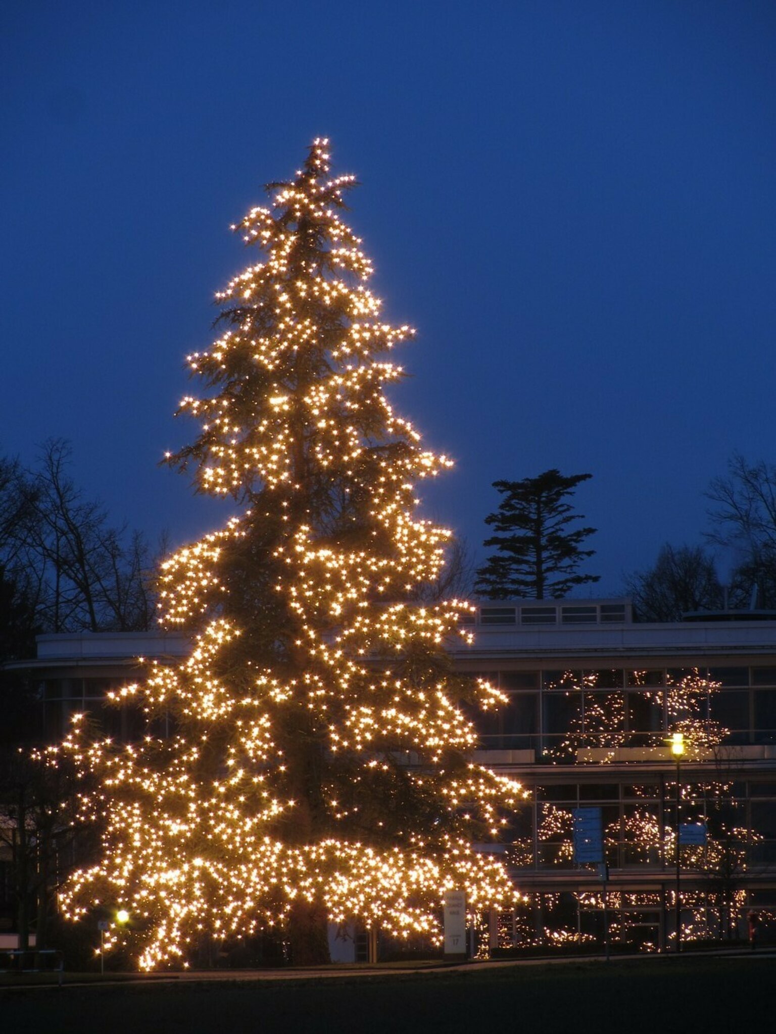 Wunderbarer Weihnachtsbaum Bad Homburg vor der Höhe