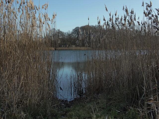 Durchblick...