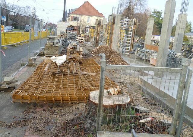 Mal sehen, ob der Baum nach Beendigung der Bauarbeiten nicht doch hätte stehen bleiben können.