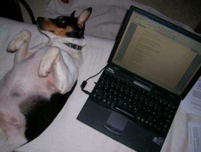 "Irgendwie reicht's mir jetzt! Das haut mich alles um! Hab meine Pfoten schon total wundgeschrieben bei den langen Reportagen! Die Tastatur ist irgendwie auch nicht Terrier-geeignet, so zierliche Pfötchen habe ich faktisch nicht!"