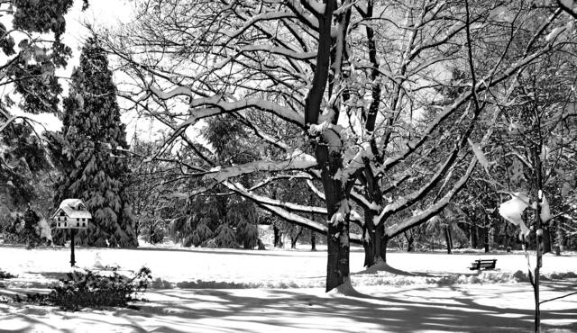 Herbstlicher Kurpark in Bad Krozingen