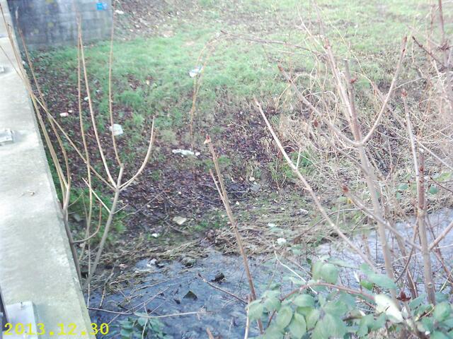 Gronau:Müll_30.12.13:L482/Stadtgraben. Inzwischen wesentlich verstärkt.
