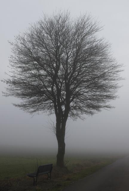 Okay: Eigentlich ist es "nur" eine Sitzbank im Nebel