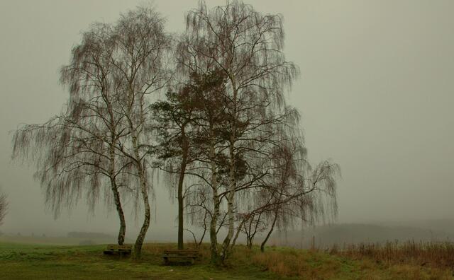 Bauernregel: "Im Januar viel Regen, wenig Schnee, tut Bergen, Tälern und Bäumen weh". Hoffen wir also auf etwas Winter in den nächsten Tagen!