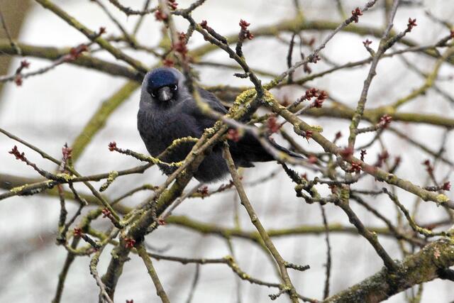 "Vorsicht Jungs, wir werden hier streng beobachtet!"