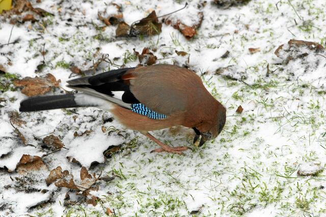 "Du glaubst doch nicht wirklich, ...