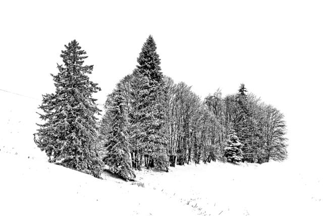 Eingeschneit SW