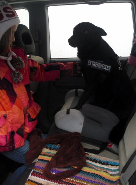 Warum darf ich nicht hier bleiben?