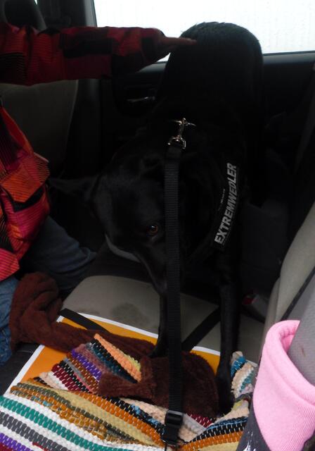 Gemein, dann lege ich mich halt daneben ;-(