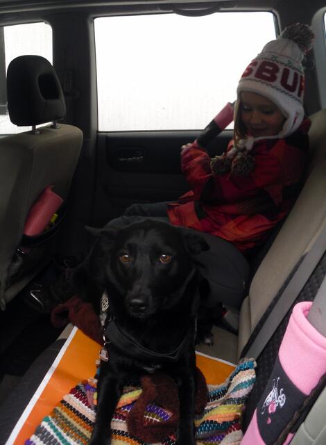 Jetzt möchte ich nicht mehr hier drin bleiben. Lass mich lieber raus