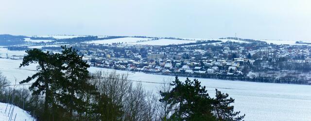 Winterlicher Blick von Vitzenburg auf das verschneite Nebra - am 28.1.2014 !