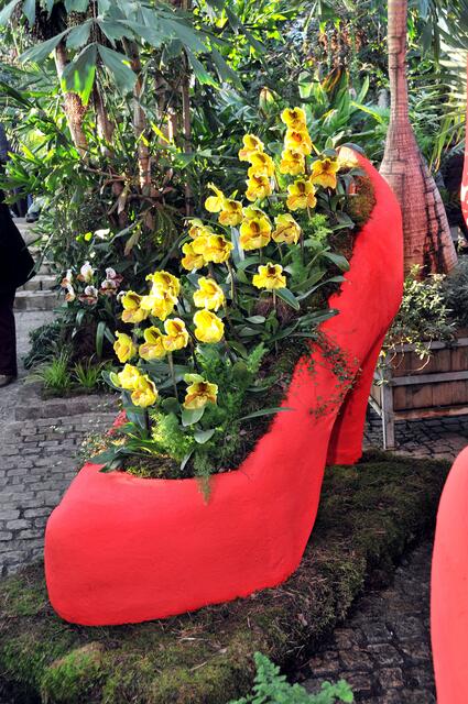 Große Schuhe als Pflanzbeete: Passend für den Frauenschuh.