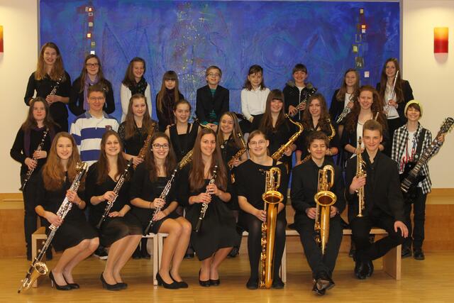 Alle Teilnehmer der Musikschule Wertingen am Regionalwettbewerb Jugend musiziert 2014 stellten sich gut gelaunt dem Fotografen.