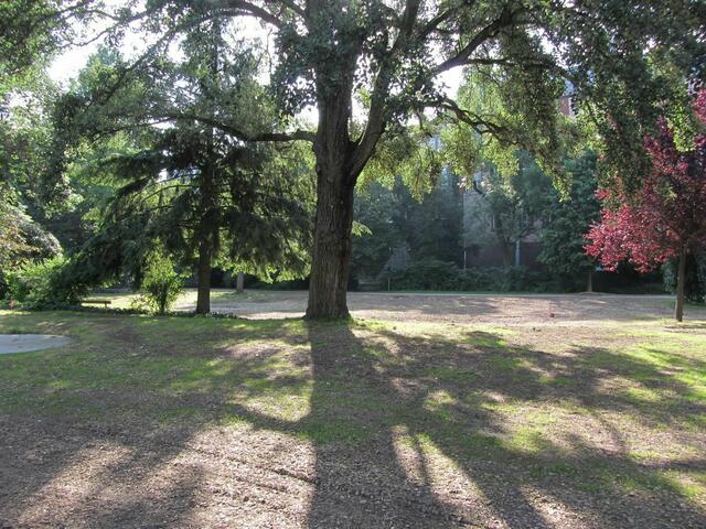 Hier war das Weindorf.