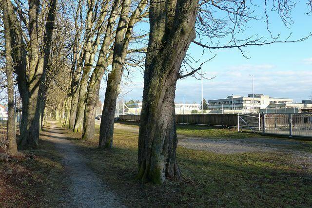 rechts von er Allee Mittel- und Realschule ...