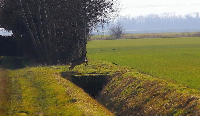 ....da kommt wer.....