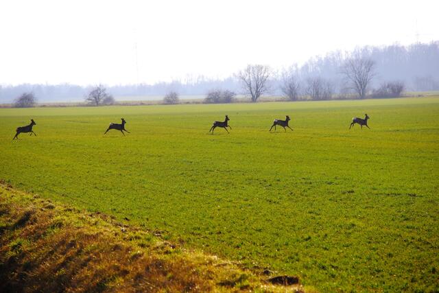 .....ab ins Feld....