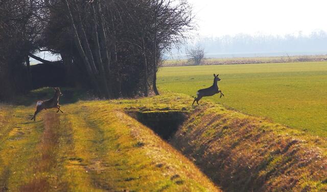 ....schnell weg...