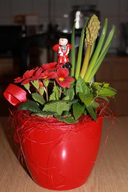 ...mit ihrer Liebsten oder ihrem Liebsten den Valentinstag genießen - vor allem aber Denjenigen, denen es heute nicht so besonders gut geht, die krank oder einsam sind, sende ich ganz liebe Grüße!!!
