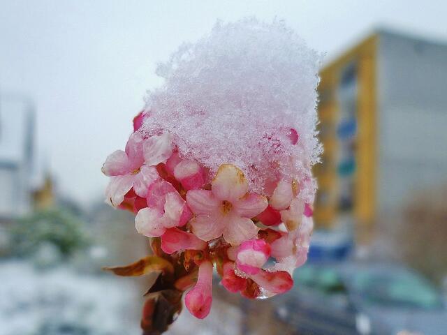 Winterfarben 2014 !