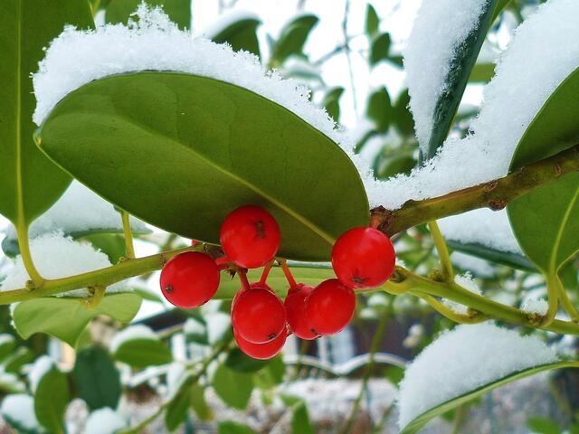 Winterfarben 2014 !