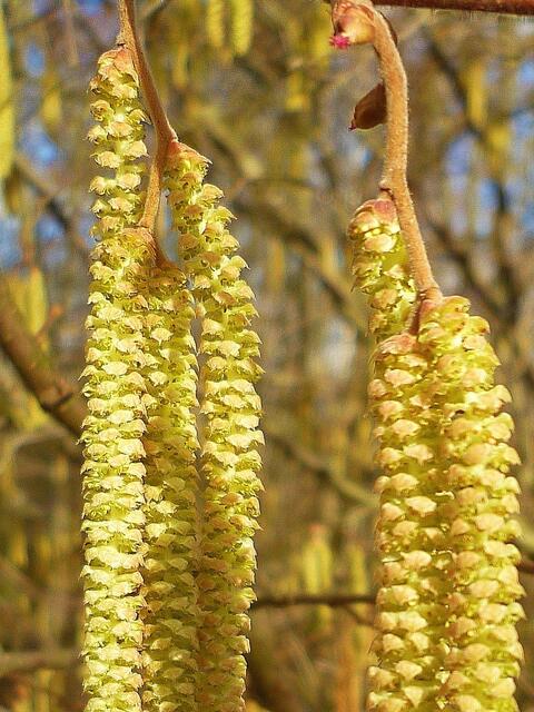 Winterfarben 2014 !