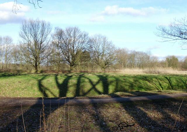 Auch Bäume scheinen sich mit höherer Mathematik zu beschäftigen. Ob sie allerdings diese Y-X-Formel lösen konnten , weiß ich nicht ... so lange wollte ich nicht warten. :)