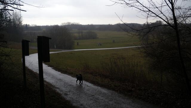 Blick auf den Hundesportplatz. Wie lange können wir hier noch wandern?