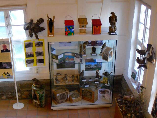 . . . der Stand des NABU im Stadtmuseum Burgdorf, . . . als zusätzliches Begleitprogramm . . .