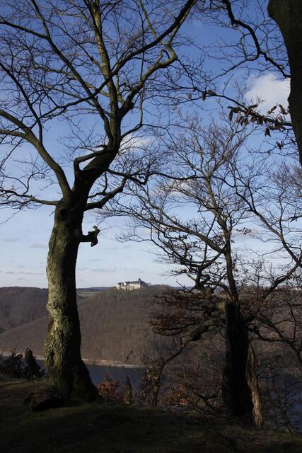 Ohne Blätter schimmter das Schloss durch die Bäume