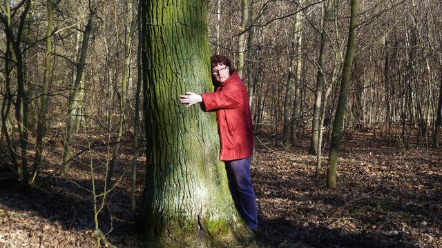 Im Reich der gigantischen Bäume - 24.2.2014 !