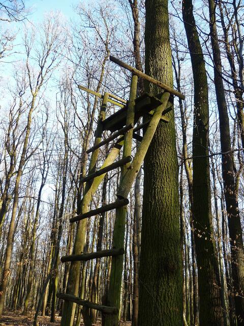 Ein alter Hochstand ....