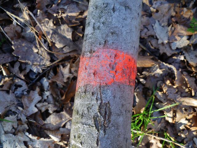 ... wieder eine "rote" Markierung ?