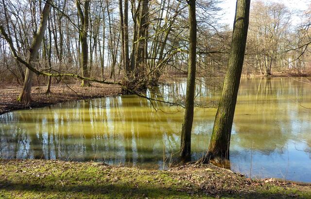 Sonne und der Schattenwurf der Bäume gesellten sich zu den zauberhaften Spiegelungen im See.